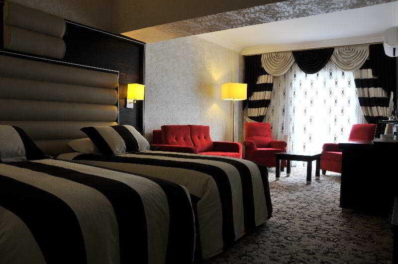 Turist Hotel Ankara Bilik gambar