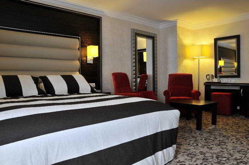 Turist Hotel Ankara Bilik gambar